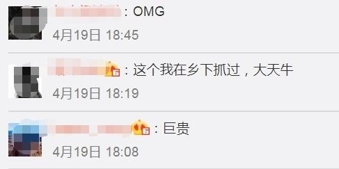 甲虫界坦克来袭！厦门海关首次查获5只活体长戟大兜虫「组图」-7.jpg