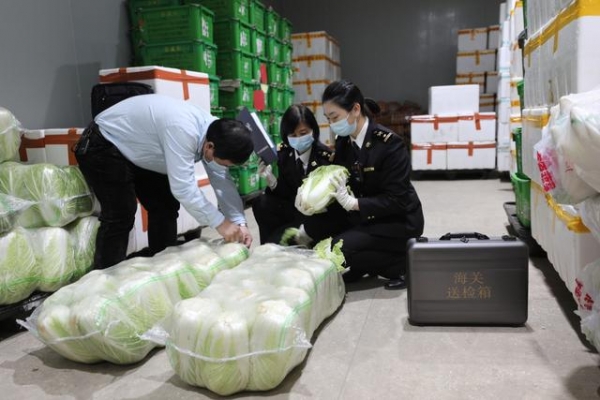 一季度增城海关共受理出口农产品1254批，其中远洋蔬菜出口批次已达去年全年的60%-1.jpg