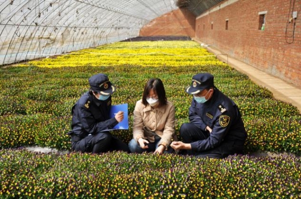 春耕时节，一季度大连海关已监管15吨种子出口-1.jpg