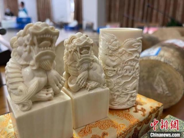 南京海关移交一批罚没濒危野生动植物及其制品-3.jpg