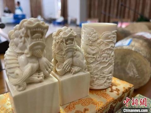 南京海关移交一批罚没濒危野生动植物及其制品-2.jpg