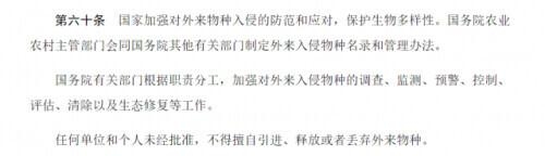 红火蚁、非洲蟑螂竟成宠物！海关截获→-5.jpg