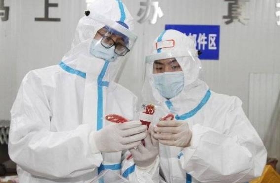青岛海关查获38只世界上最危险的蚂蚁活体蚂蚁，海关还查到过什么-6.jpg