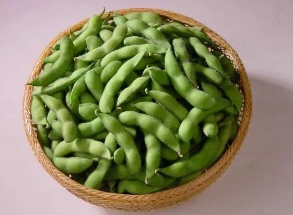 【进出口食品安全】关于进口老挝新鲜豆类检验检疫要求的问题解析-4.jpg