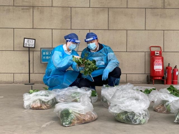 160株草莓苗快速通关！流亭机场海关推进农耕物资“绿色通道”-1.jpg