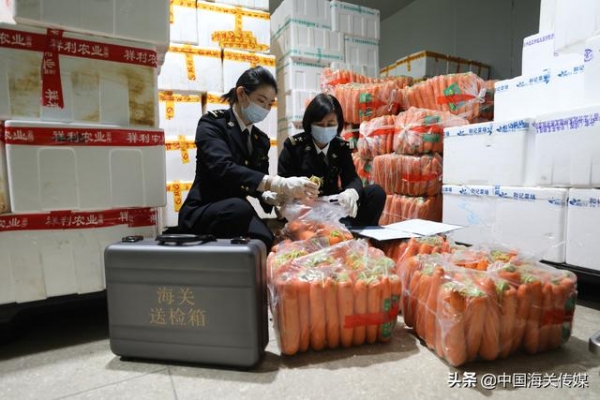 粤港澳大湾区出口蔬菜千里保“鲜”-1.jpg
