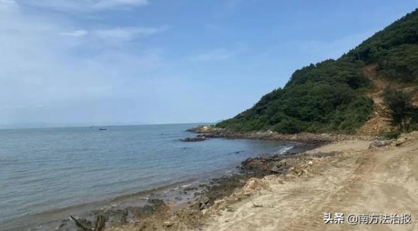 案值高达4000万元！在阳江一偏僻海边私建码头竟是为了走私这个！原来海关罚没的物品是这样处理的-1.jpg