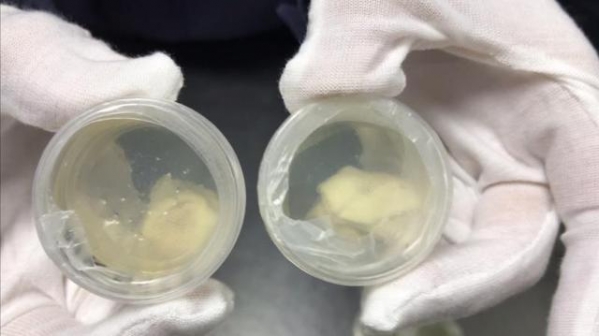 上海邮局海关在进境邮件中连续查获线虫12盒-1.jpg