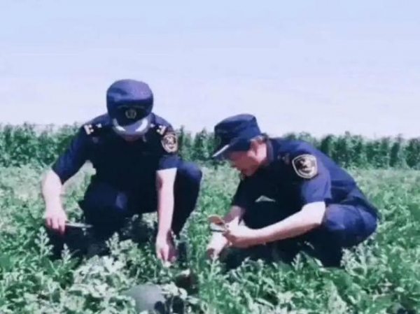 【动植物检疫】进境种苗那些事儿-8.jpg