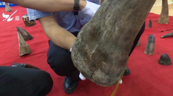 案值约1亿元！厦门海关查获一走私船，11人被抓！现场直击-9.jpg