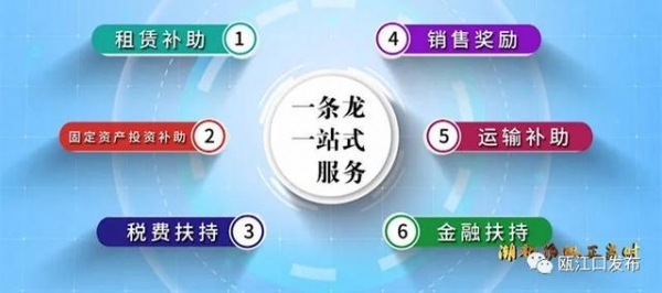 潮起扬帆正当时——温州综合保税区发展纪实-14.jpg